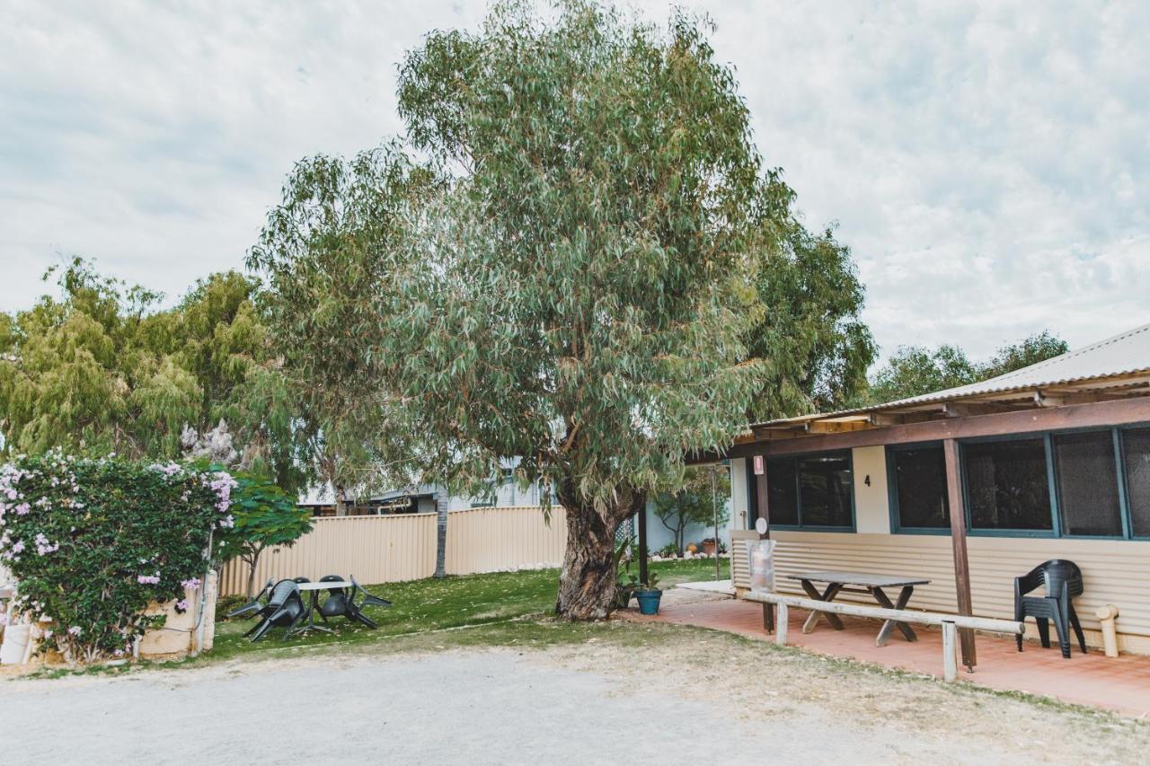 Dongara Hotel Motel Exteriör bild